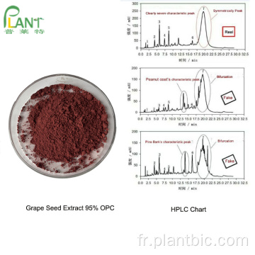 Poudre d&#39;extrait de pépins de raisin antioxydant naturel OPC